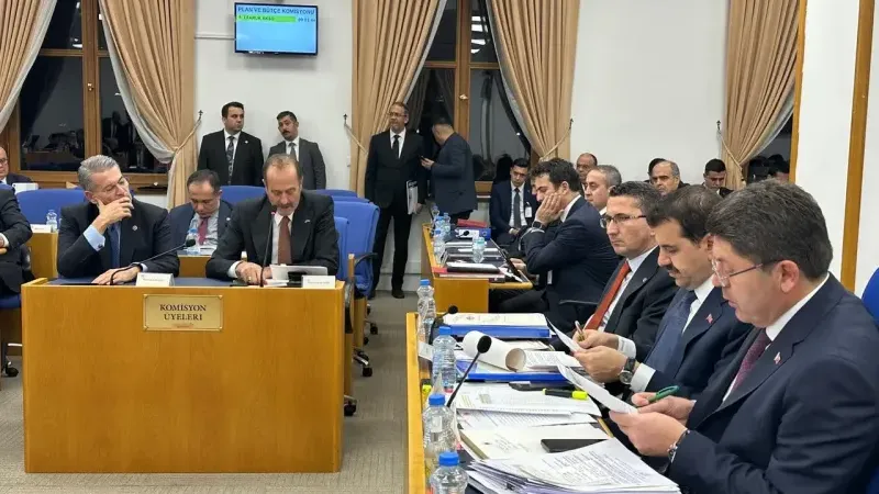 MHP'li Tamer Osmanağaoğlu: 